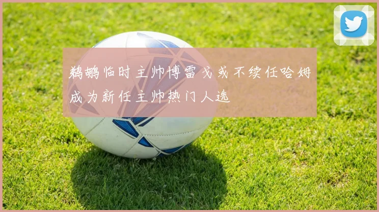 鹈鹕临时主帅博雷戈或不续任哈姆成为新任主帅热门人选