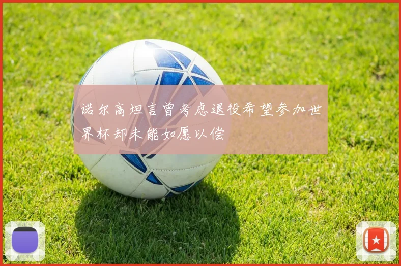 诺尔高坦言曾考虑退役希望参加世界杯却未能如愿以偿